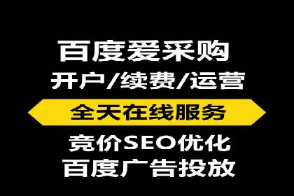 百度推广的广告投放策略案例